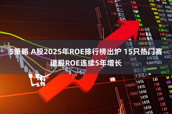 5策略 A股2025年ROE排行榜出炉 15只热门赛道股ROE连续5年增长