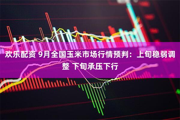 欢乐配资 9月全国玉米市场行情预判：上旬稳弱调整 下旬承压下行